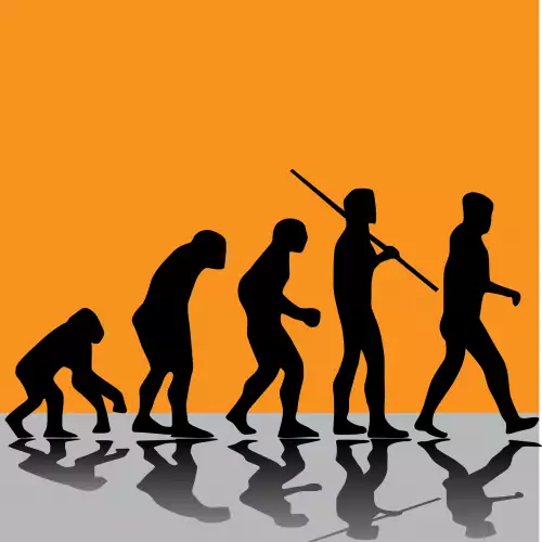 The Most Curious Facts about Human Evolution