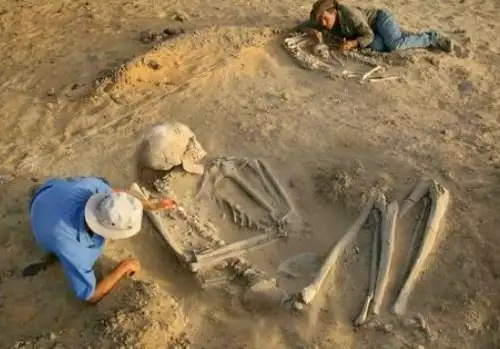 US Scientists Have Destroyed Thousands of Giants' Skeletons