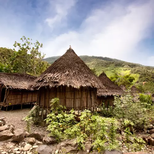 Isolated from the world Indian tribe lives in timelessness