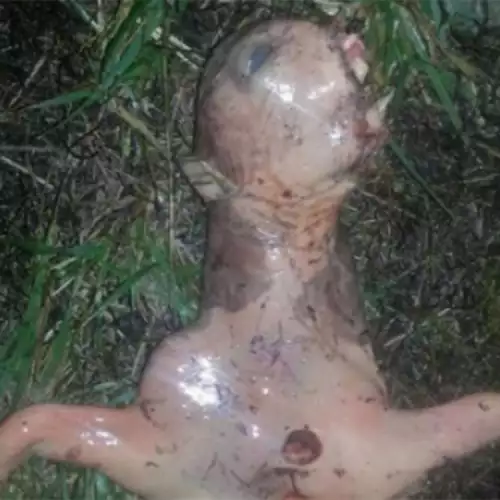 American Woman Finds Alien Body in her Backyard