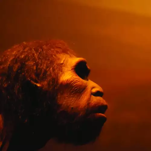 The Truth About Neanderthals and Their Large Noses