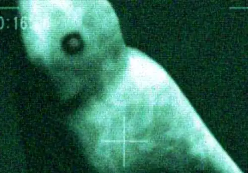 Mysterious Humanoid Photographed in Antarctica