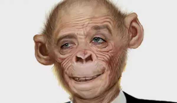 Humanzee