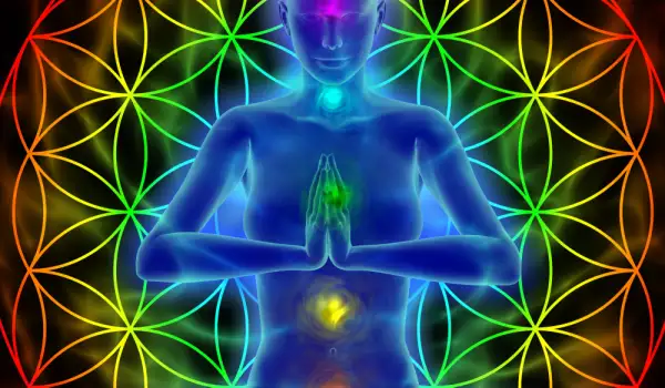 How Many Chakras Does a Person Have?