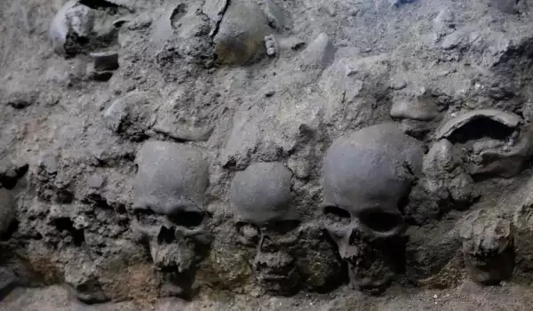 Aztec Skulls
