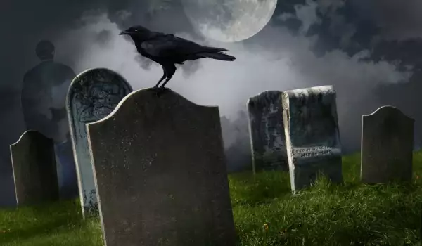 Crow at Cemetary