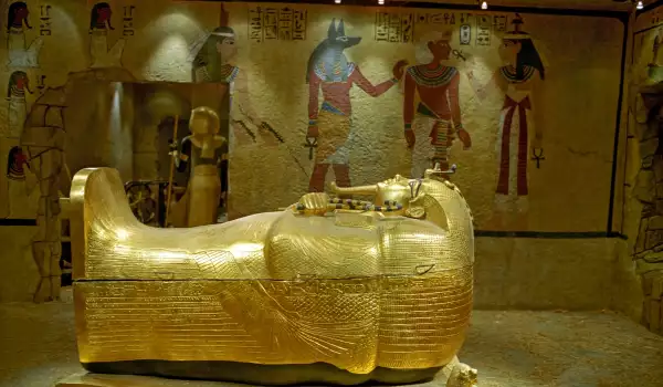 Mummy of Nefertiti found