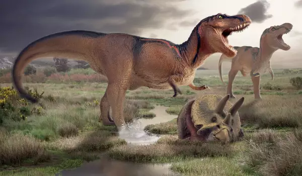 Carnivorous Dinosaurs