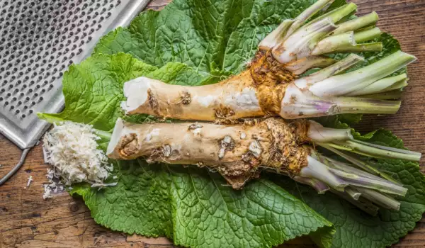 horseradish