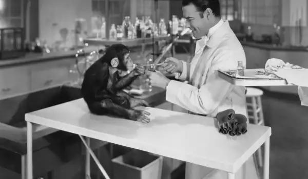 Man Monkey Lab
