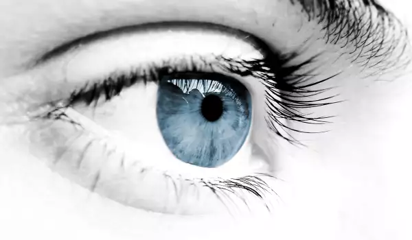 Facts about blue eyed people
