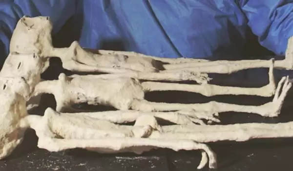 Peru Mummies