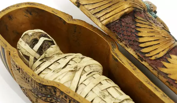 Egyptian mummies