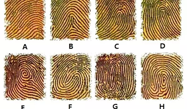 Fingerprints