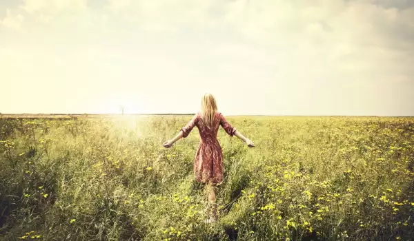Field