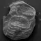 Behold the Earliest Known Ancestral Organism of Life on the Planet