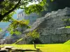 Mysterious Temple Revealed in a Mexican Pyramid after Earthquake