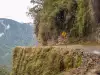 The World's Most Dangerous Road is in Bolivia