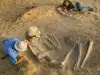 US Scientists Have Destroyed Thousands of Giants' Skeletons