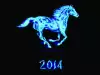 What to Expect in the Year of the Horse