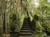 A large ancient city has been discovered in the Amazon