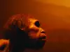 The Truth About Neanderthals and Their Large Noses