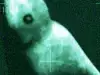 Mysterious Humanoid Photographed in Antarctica