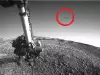 It Can`t Be! Flying Bird Photographed on Mars