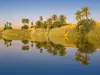 A Lake Mysteriously Appears in the Middle of a Desert in Tunisia